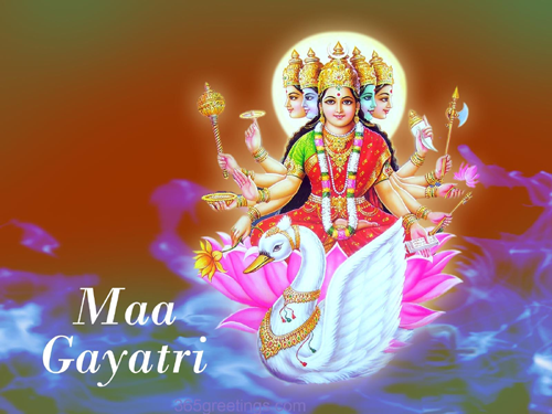Information on power of gayatri stotra importance of gayatri storam chanting of gayatri mantra,meaning of gayatri stotras,gayatri   mantra meaning in telugu 